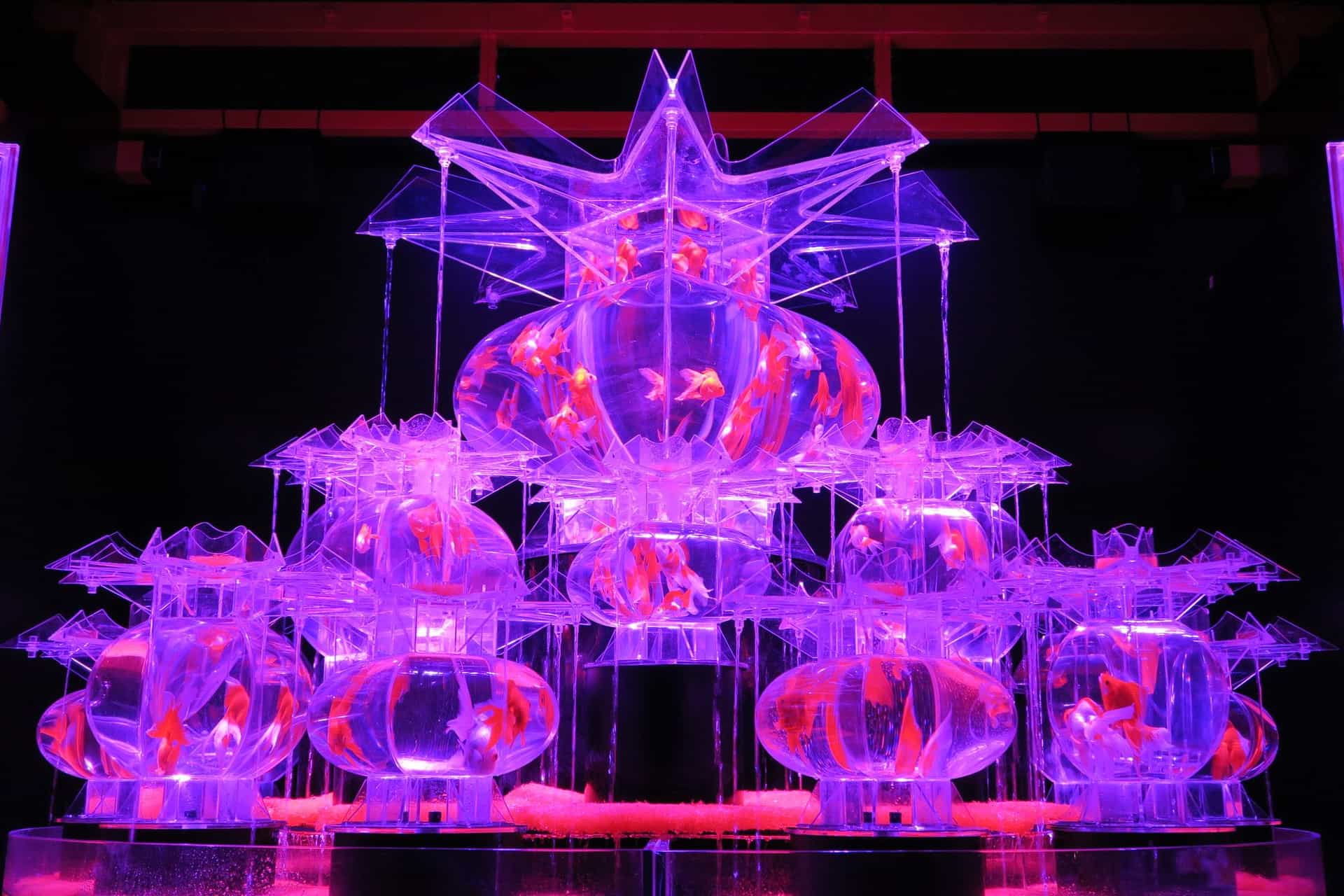 二条城 アクアリウム