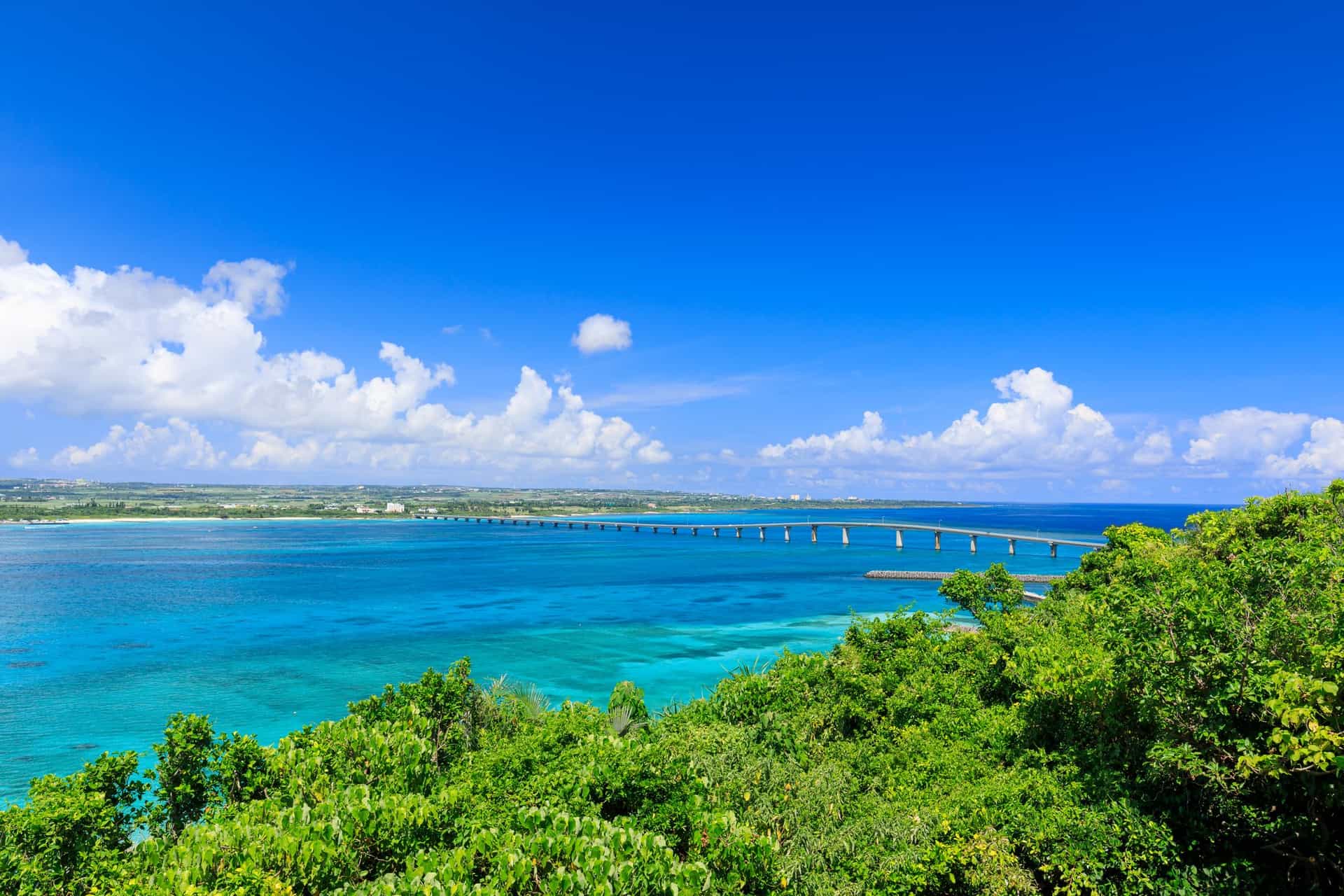 top-image-4