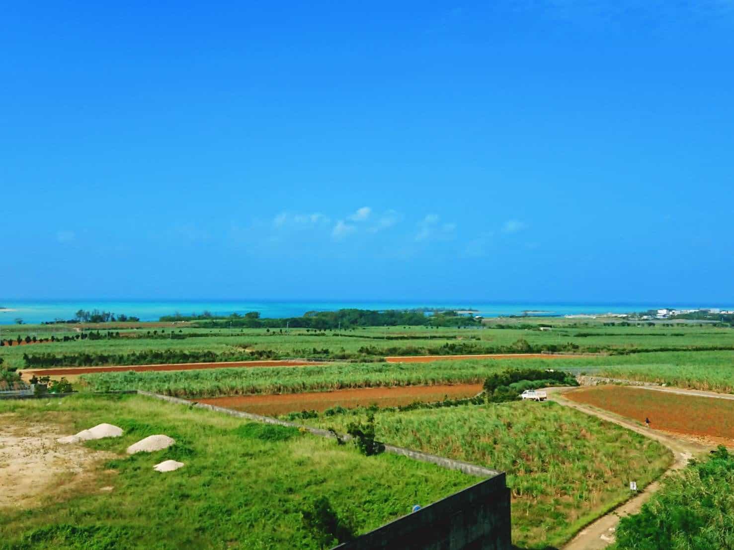 top-image-4
