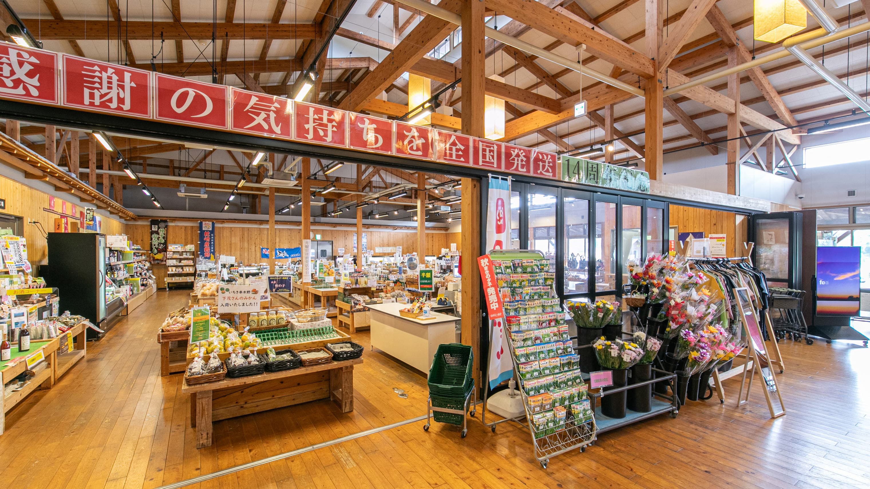 content-with-photo-image