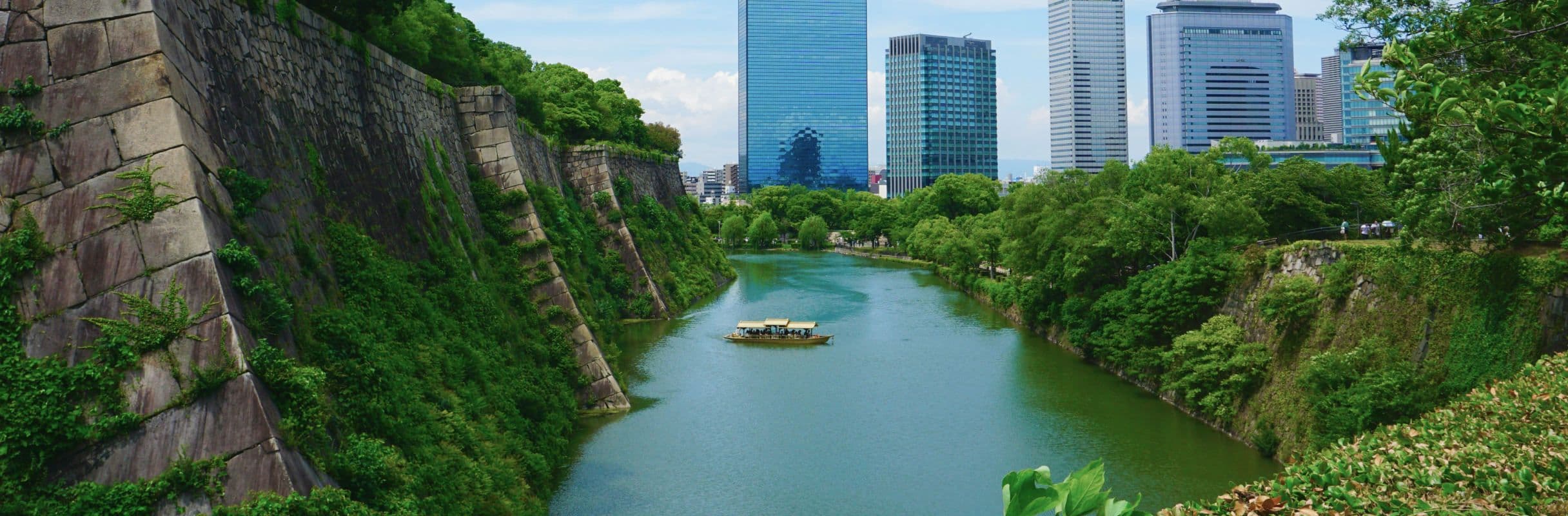 2432x800_121.jpg