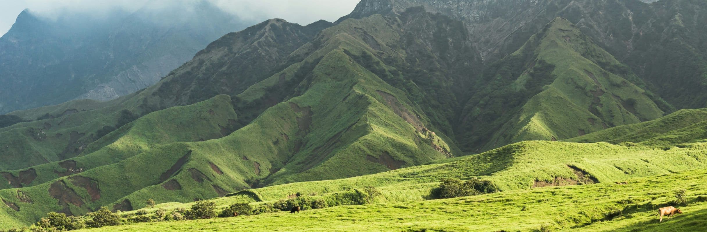 2432x800_9.jpg
