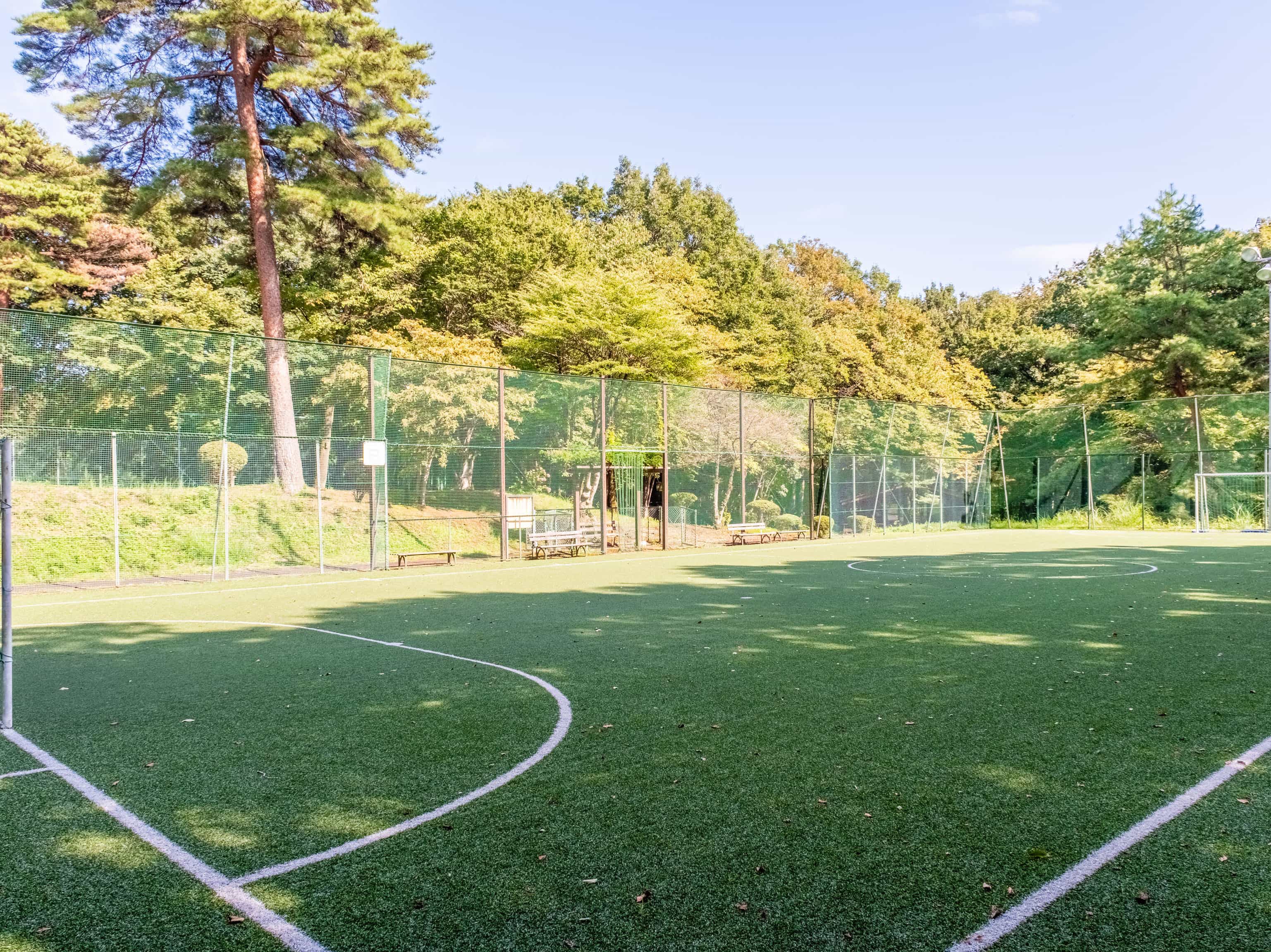 Futsal court
